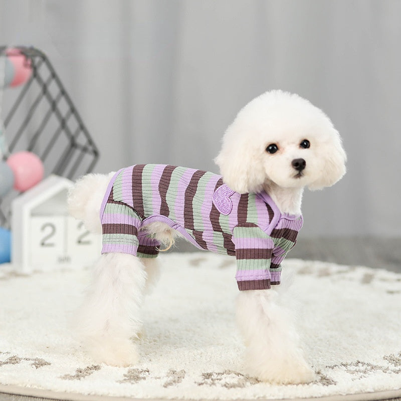 Teddy clothes new rainbow caring pet clothes autumn and winter dog clothes than bear cat four foot bottom