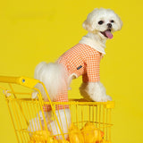 Funny new knitted cotton four-legged clothes Teddy VIP pet clothes