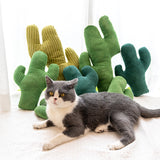 Cactus tease cat toys self hi cat Mint toys cat toys anti bite molar cat products