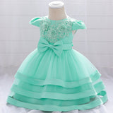 New Girl Dress Embroidered With Beaded Flowers First Birthday Dress Baby Princess Dress