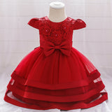 New Girl Dress Embroidered With Beaded Flowers First Birthday Dress Baby Princess Dress
