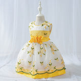 Girls' 0-3 Baby's First Birthday Embroidered Princess Dress