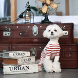 Autumn/winter dog clothes Teddy bear Schnauzer cat four-legged pet clothes