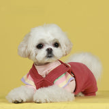 Pet clothes autumn and winter new dog four-legged clothes cat clothes teddy cat clothes