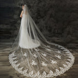 Exquisite Lace applique veil bridal wedding accessories