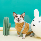 Dog pant suit pet trend warm clothes clash colors Corgi Shiba dog