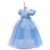 The New Princess Cinderella Dress The Big Child Bubble Sleeve Floor-Length Evening Dress The Flower Girl Dress