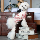 Autumn/winter dog clothes Teddy bear Schnauzer cat four-legged pet clothes