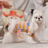 Teddy clothes new rainbow caring pet clothes autumn and winter dog clothes than bear cat four foot bottom