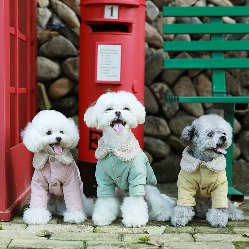 Pet clothes autumn and winter dog clothes thickened teddy than bear cotton-padded coat cat clothes bipedal clothes