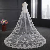 Long tail bridal lace veil