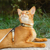 Pet traction rope off camouflage Japanese H-type harness for walking cat to prevent small dog I-type outdoor articles