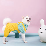 Dog pant suit pet trend warm clothes clash colors Corgi Shiba dog