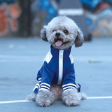 Pet clothes autumn and winter cat clothes casual dog clothes than bears out sports