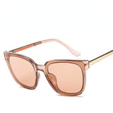 Fashion box transparent sunglasses