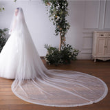 Double-layer lace veil bridal wedding accessories