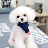 Pet accessories Casual teddy warm scarf multi-colour cute knit