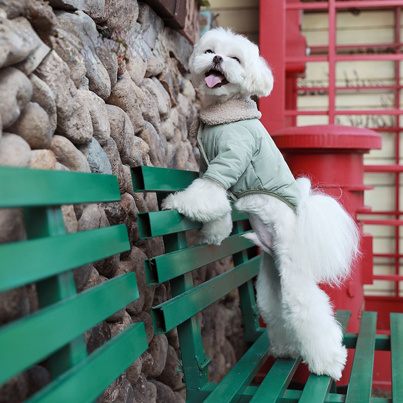 Pet clothes autumn and winter dog clothes thickened teddy than bear cotton-padded coat cat clothes bipedal clothes