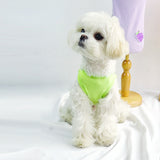 Pet clothes Spring and summer new leisure breathable cat T shirt cold teddy dog clothes
