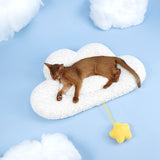 Cloud mat pet sleeping mat cat mat dog mat autumn and winter thickened warm blanket sleeping mat