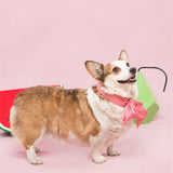 Pet cooling ice scarf summer cool collar saliva towel ice bib ice scarf corgi bucket