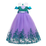 Frozen Sequins Embroidered Princess Elsa Dress Cosplay Dress
