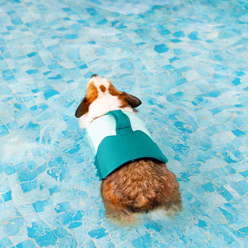 Dog swimsuit pet life jacket buoyancy water rafting suit wave swimsuit corgi back