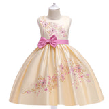 New Girl's Dress Princess Skirt Embroidered Bow Dress