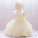 Princess Dress Pompous Gauze Cake Dress Infant Flower Girl Dress Piano Performance Dress
