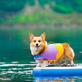 Dog swimsuit pet life jacket buoyancy water rafting suit wave swimsuit corgi back