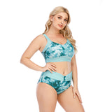 Women's two-piece swimsuit plus size printed bikini