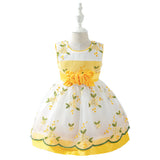 Girls' 0-3 Baby's First Birthday Embroidered Princess Dress