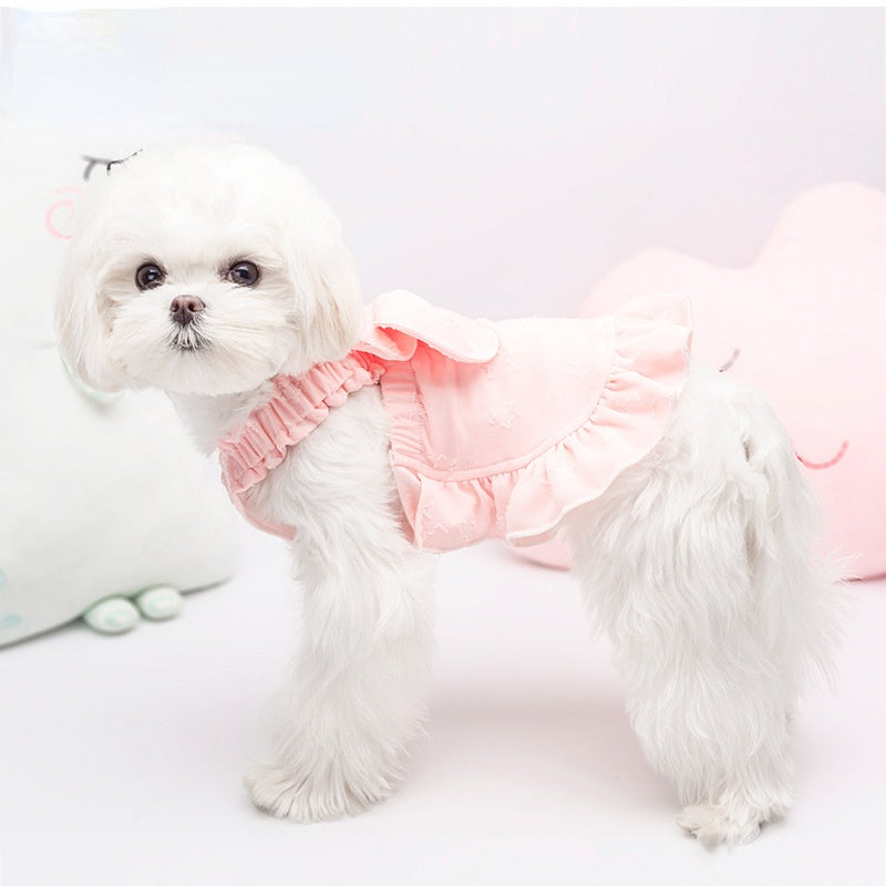 Pet clothes Spring/summer vest new lace stretch skirt small dog thin teddy dog clothes