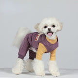 Pet clothes dog Teddy clothes cat clothes close fitting autumn and winter warm dog clothes