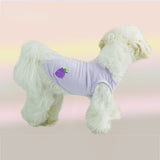Pet clothes Spring and summer new leisure breathable cat T shirt cold teddy dog clothes