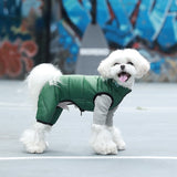 Dog clothes autumn and winter new teddy pet clothes wholesale pet clothes cat clothes thick