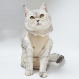 Pet cat clothes summer breathable teddy dog clothes weaning clothes English short female cat neutering tripe coat