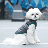 Pet clothes autumn and winter cat clothes down jacket dog double-sided clothes pet clothes